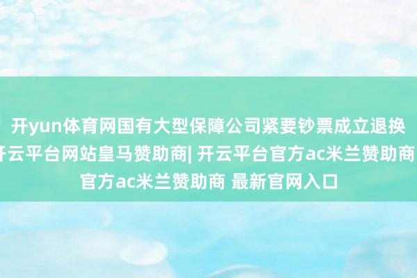 开yun体育网国有大型保障公司紧要钞票成立退换方案难度高-开云平台网站皇马赞助商| 开云平台官方ac米兰赞助商 最新官网入口