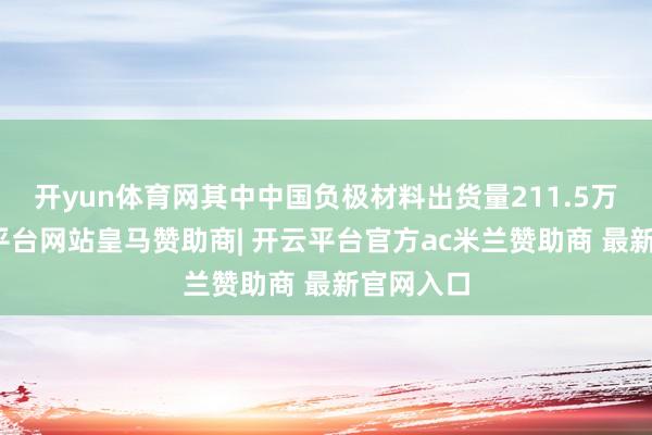 开yun体育网其中中国负极材料出货量211.5万吨-开云平台网站皇马赞助商| 开云平台官方ac米兰赞助商 最新官网入口