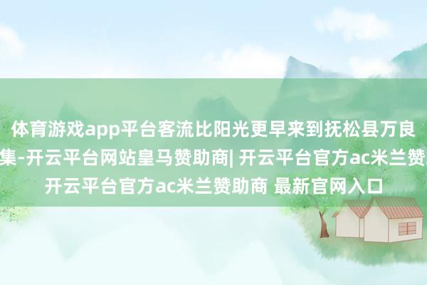 体育游戏app平台客流比阳光更早来到抚松县万良长白山东谈主参市集-开云平台网站皇马赞助商| 开云平台官方ac米兰赞助商 最新官网入口