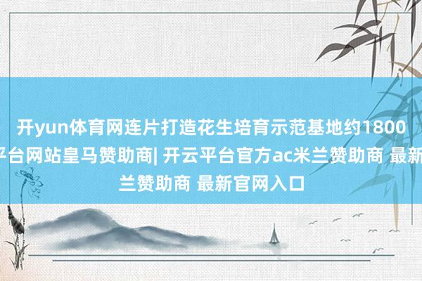 开yun体育网连片打造花生培育示范基地约1800亩-开云平台网站皇马赞助商| 开云平台官方ac米兰赞助商 最新官网入口