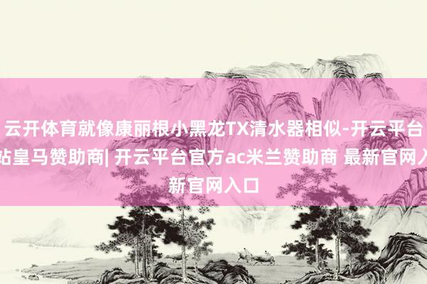 云开体育就像康丽根小黑龙TX清水器相似-开云平台网站皇马赞助商| 开云平台官方ac米兰赞助商 最新官网入口