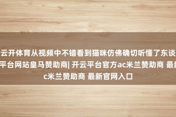云开体育从视频中不错看到猫咪仿佛确切听懂了东谈主话-开云平台网站皇马赞助商| 开云平台官方ac米兰赞助商 最新官网入口